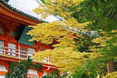 道成寺の秋