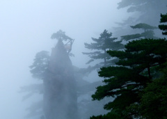 霧の黄山