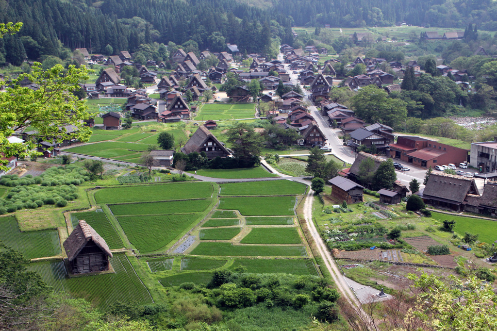 夏至の白川郷