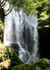 桑の木の滝