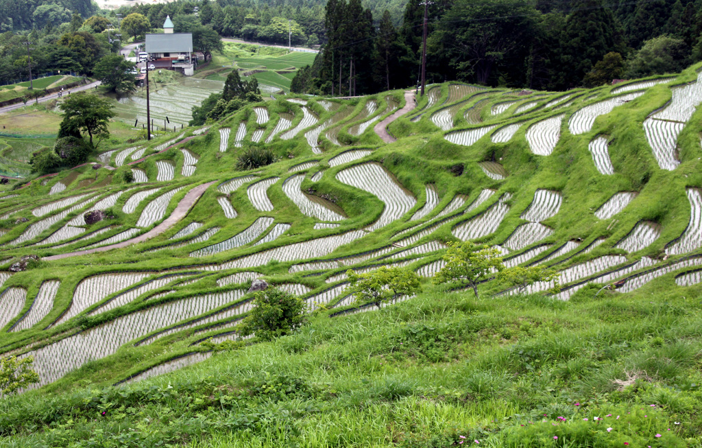 田植え前