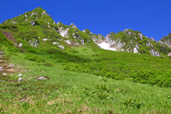 夏山