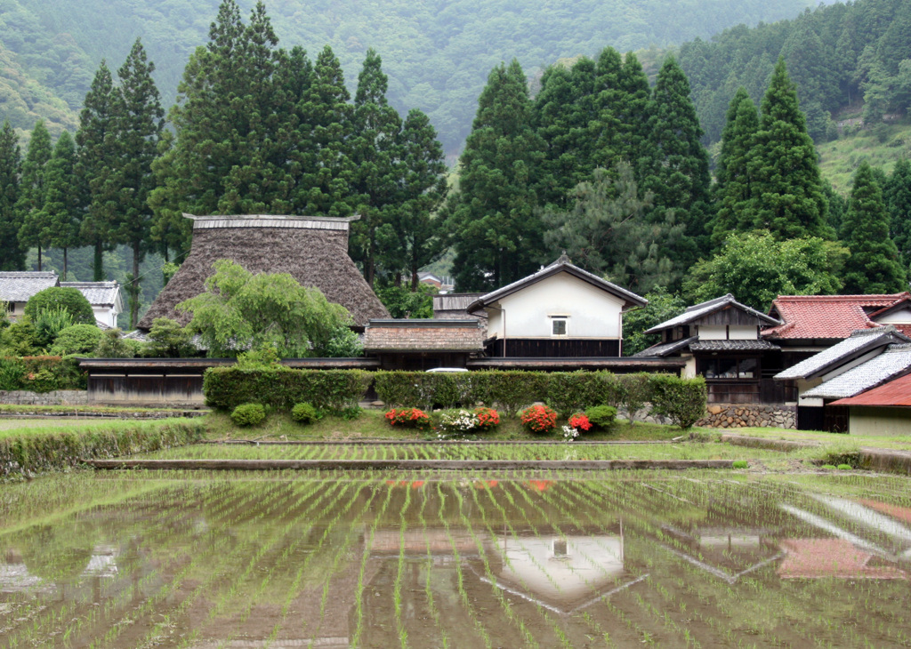 田植えの候