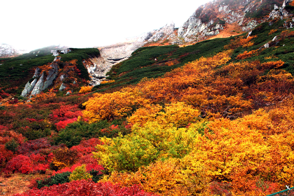 木曽駒ヶ岳