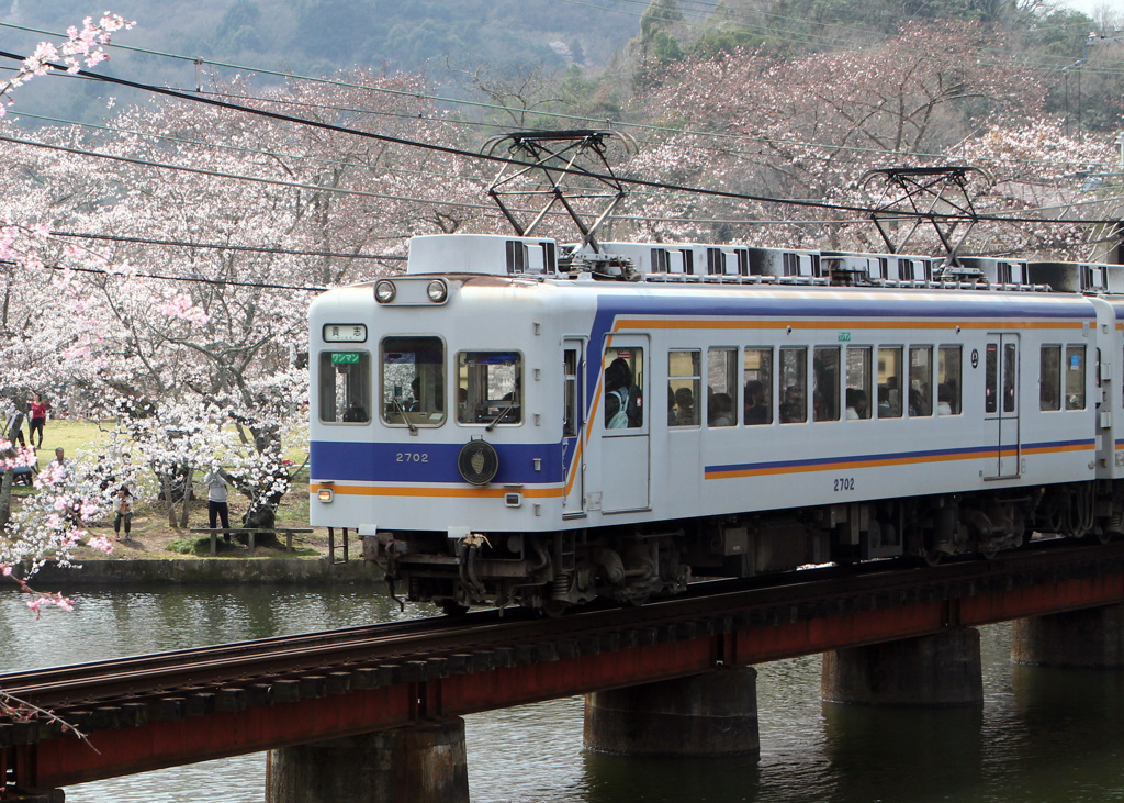 サクラ電車