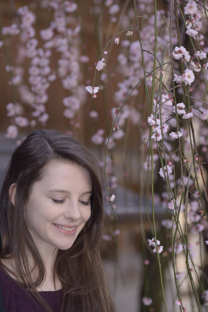 日本の春を感じる～”Spring of Japan is felt. ”～