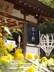 日々新