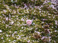 P1012210
