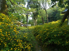 P1013589
