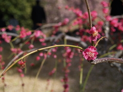 P1012242