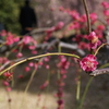 P1012242
