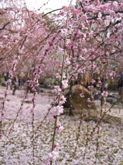 P1012181