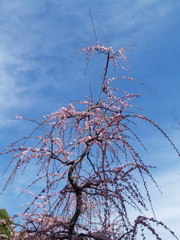青空