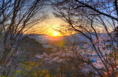 夕焼け