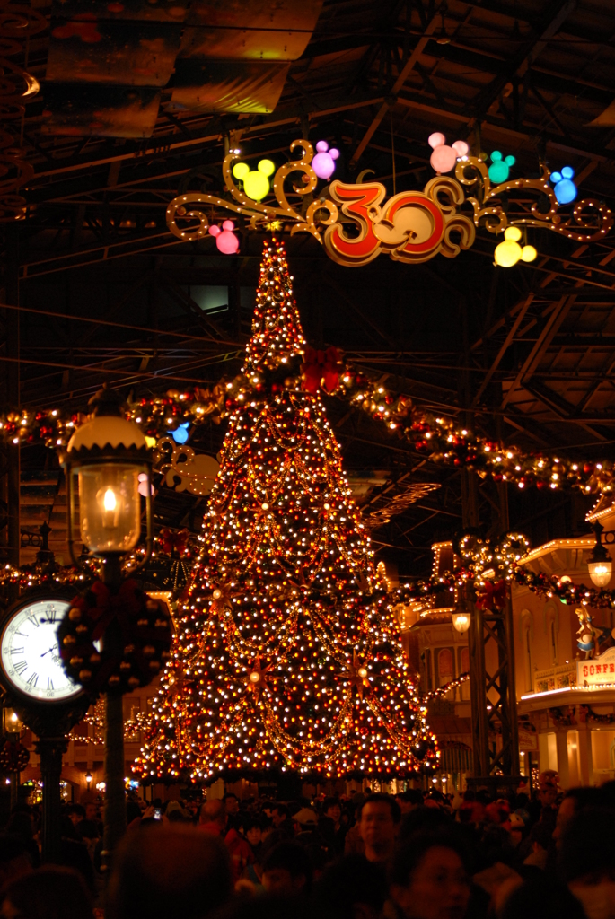 TDLクリスマス 2013 夜