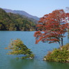 ダム湖