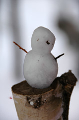 Snow man 08