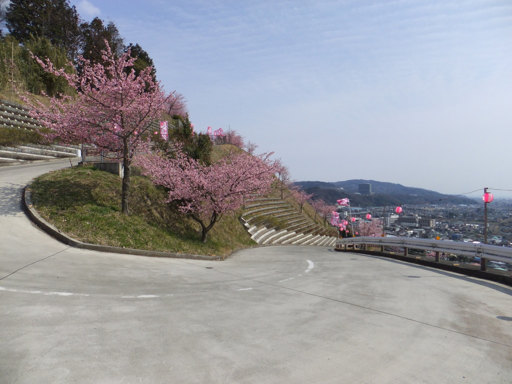 激坂