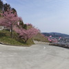 激坂