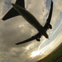 飛行機　見上げ