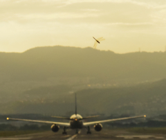 飛行機とトンボ