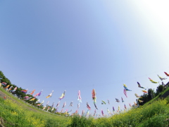 大空へ