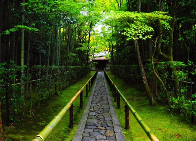 高桐院