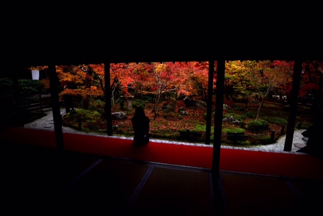 圓光寺
