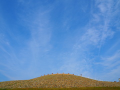 青空古墳(仮名)