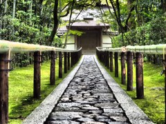 高桐院3