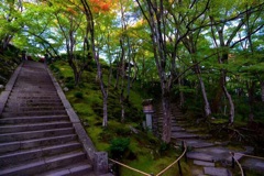 常寂光寺