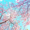 囁きあい