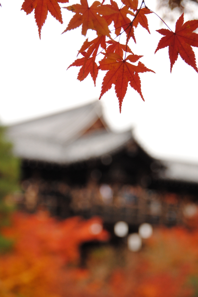 東福寺より