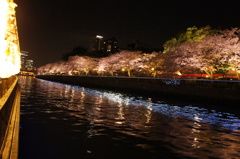 船上からの桜