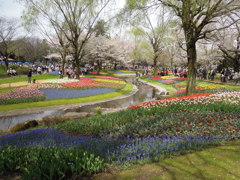 昭和記念公園