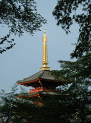 高幡不動