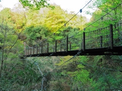 吊り橋の全貌