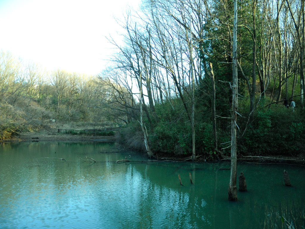 長池公園