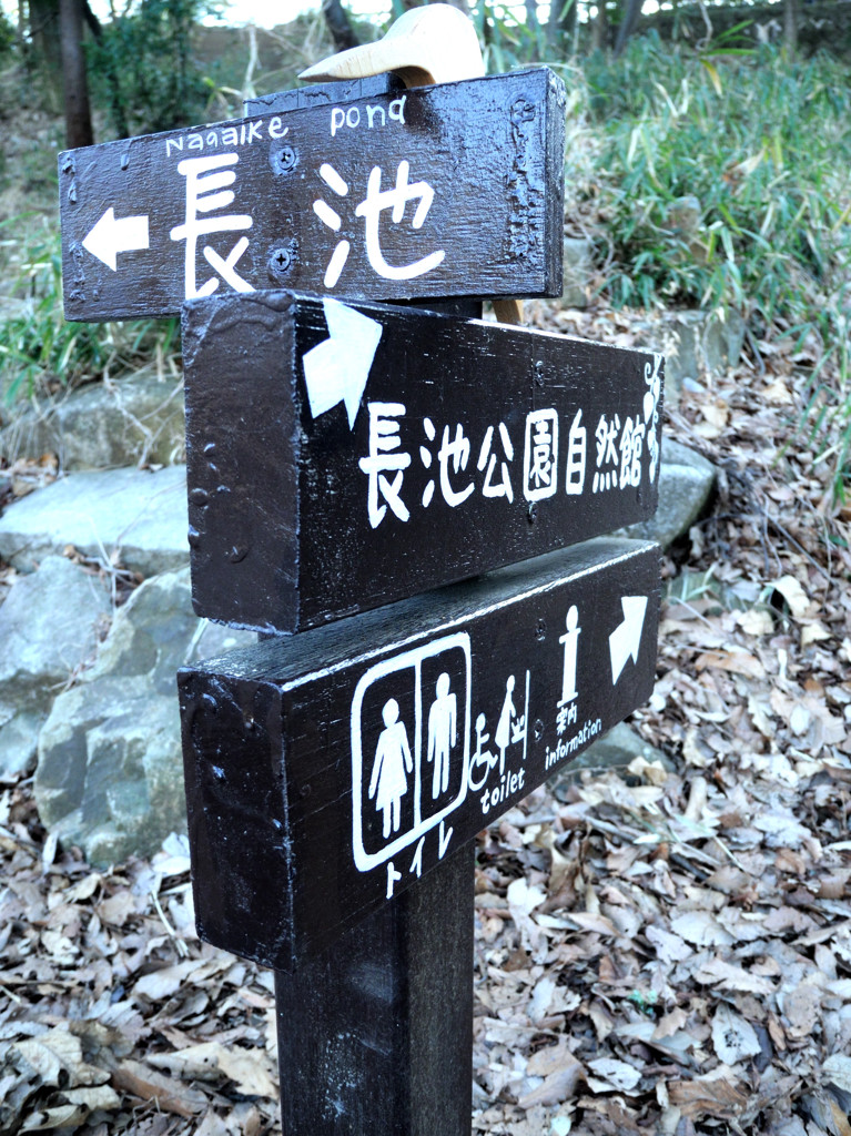 長池公園