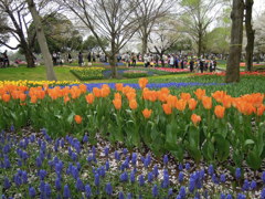 昭和記念公園