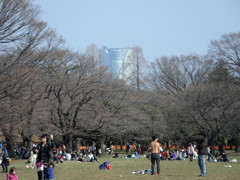 代々木公園と六本木ヒルズ