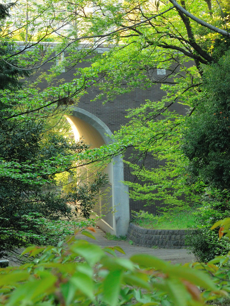 橋の上から