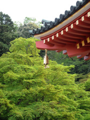 高幡不動