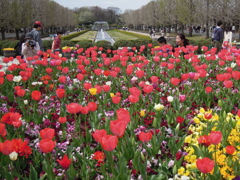 昭和記念公園