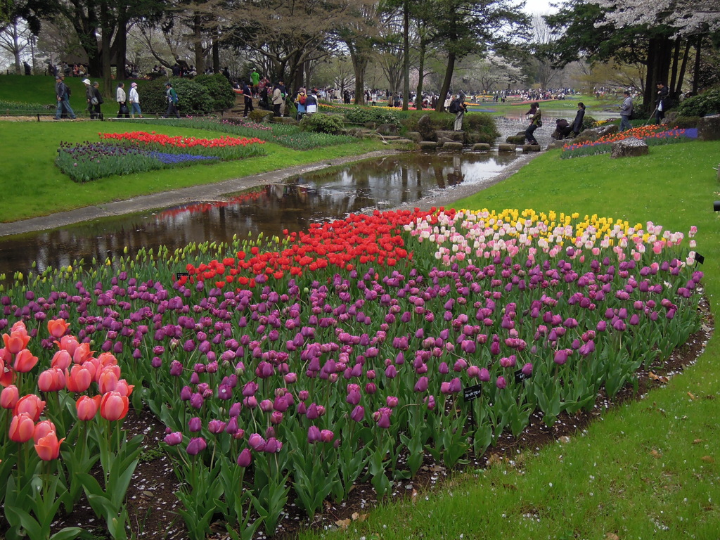 昭和記念公園