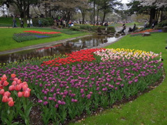 昭和記念公園