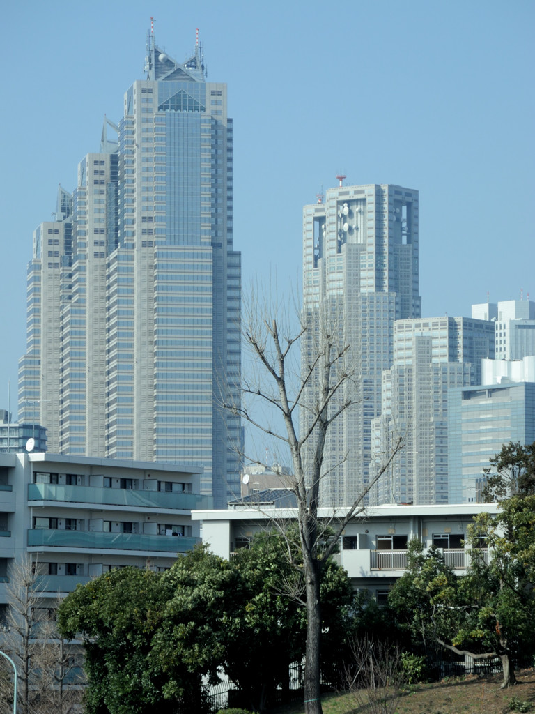 新宿副都心