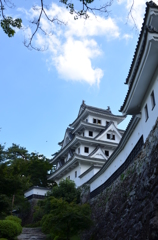 下から見ても