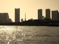 東京タワー
