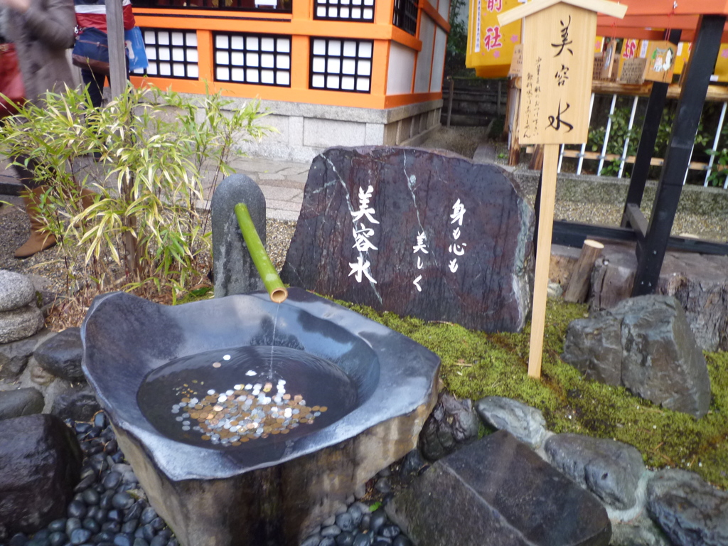 きれいにな～れ